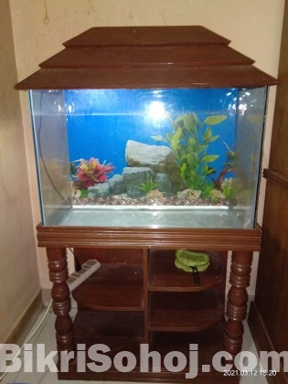 Fish Aquarium